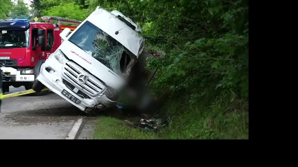 0806N008X RZEPIENNIK