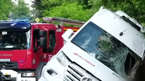 0806N008X RZEPIENNIK