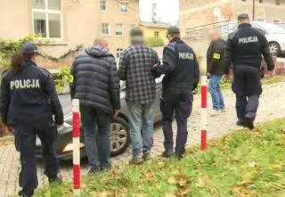 Zarzut i areszt po śmierci pogryzionego przez psy