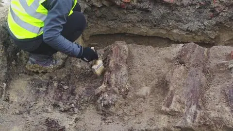 Kolejne odkrycie archeologów w Rzeszowie