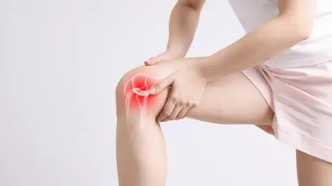 shutterstock_2655965359