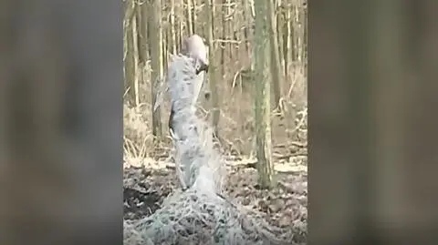 Daniel zaplątał się w sznurki