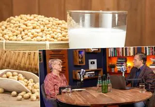 Soja "głównym winowajcą" chorób jelit, depresji i Hashimoto? Eksperci komentują