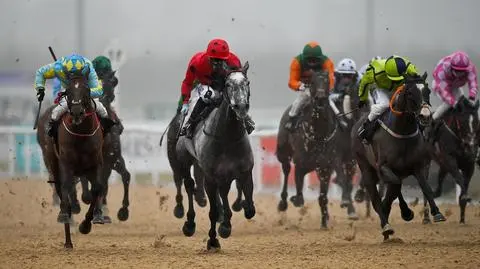 Koń wpadł na dopingu. Długa lista zarzutów