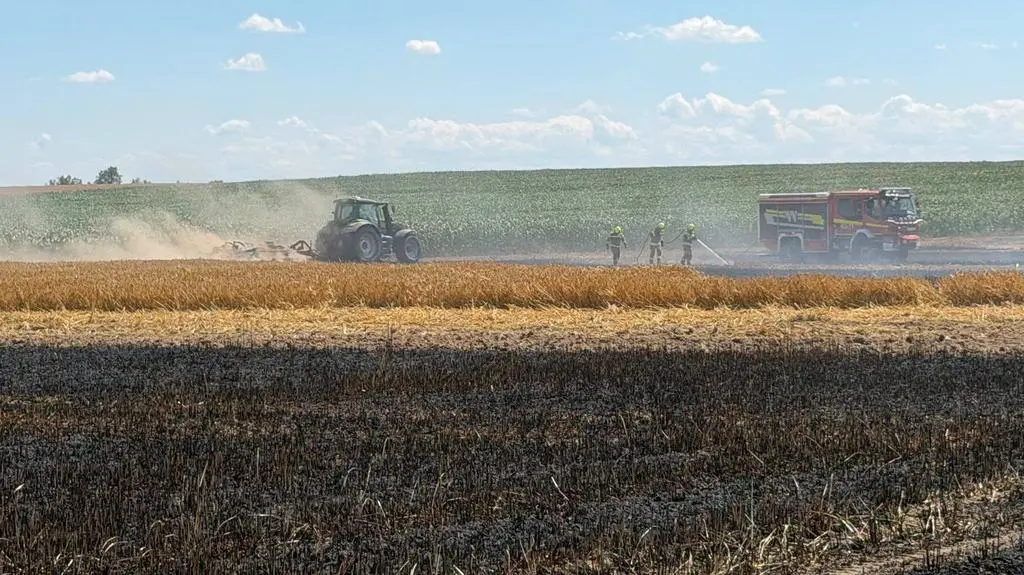 Pożar objął około 70 hektarów pól