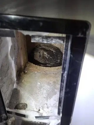 Sowa utknęła na dnie komina 