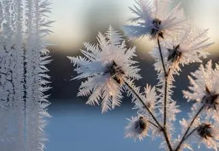 Za nami najzimniejsza noc w roku. Kolejna będzie jeszcze mroźniejsza