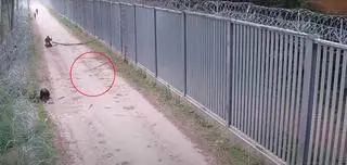 Funkcjonariuszka Straży Granicznej pomagała rannemu żołnierzowi. W jej kierunku rzucane były kije  