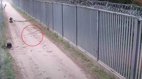 Funkcjonariuszka Straży Granicznej pomagała rannemu żołnierzowi. W jej kierunku rzucane były kije  