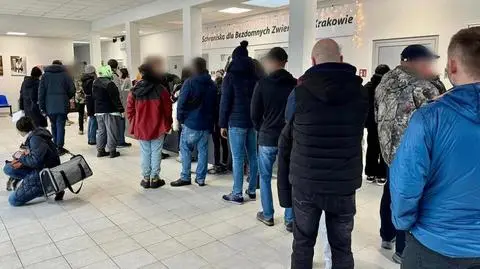 Kolejka w schronisku dla bezdomnych zwierząt w Krakowie