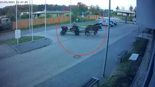 Nietrzeźwy mężczyzna wjechał zaprzęgiem na parking policji