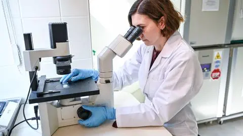 Dr Sylwia Bobis-Wozowicz