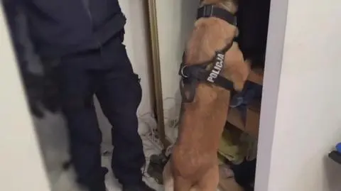 Klatka kluczowa-204379