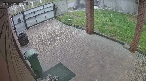 Klatka kluczowa-17696