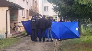 WhatsApp Image 2025-11-20 at 13