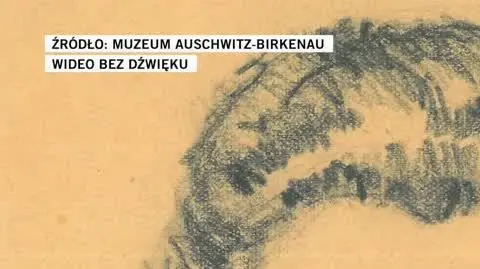 muzem
