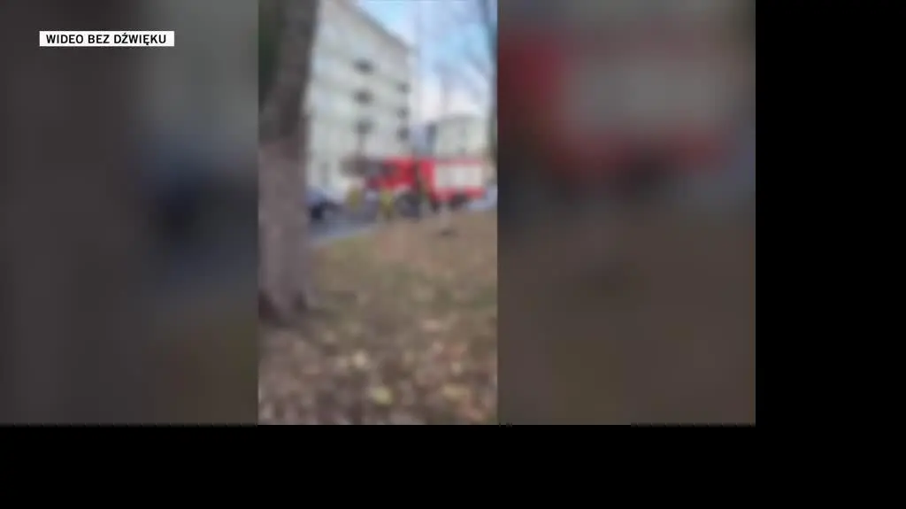 war
