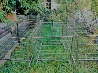 Wyposażenie sklepu służyło za prowizoryczne klatki dla zwierząt