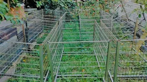 Wyposażenie sklepu służyło za prowizoryczne klatki dla zwierząt