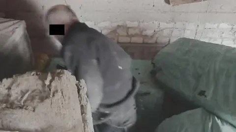 Mężczyzna został zatrzymany przez policję 