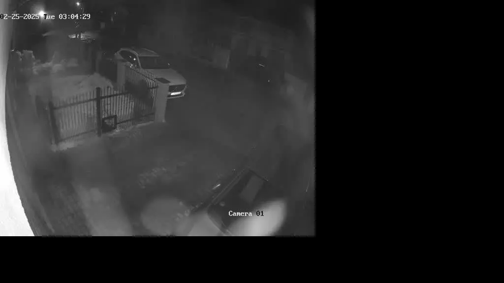 D03_2025022503000002