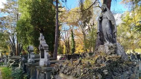 Cmentarz Rakowicki w Krakowie