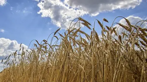 Przedłużenie ułatwień handlowych dla Ukrainy. Jest zielone światło