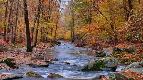 Bynum Run Creek in Bel Air Maryland shutterstock_1776877040
