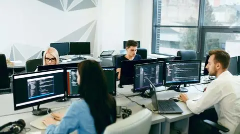 praca biuro programista progamistka shutterstock_1032637258