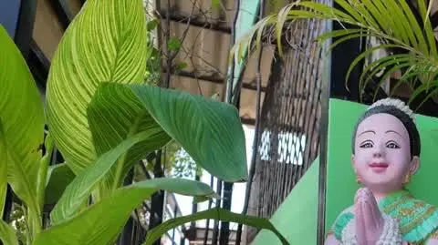 1201N134XST WOSP ZAGR