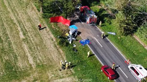 W 407 wypadkach zginęło 45 osób, a 463 zostały ranne