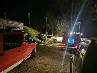 Akcja poszukiwania kota