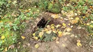 Podkop pod granicą