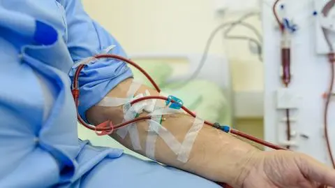 shutterstock_2076514276