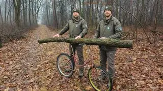 Rower służył do kradzieży drewna