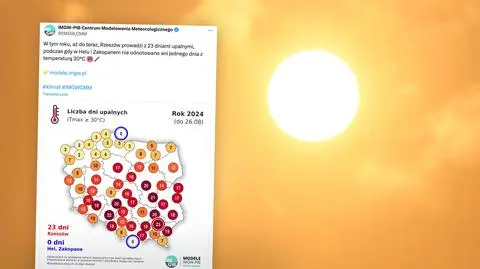 Dawniej upał gościł w Polsce przez kilka dni, teraz są to tygodnie. "Porażająca statystyka"