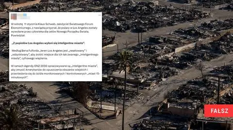 "Teren Los Angeles jest 'resetowany'". Teoria spiskowa w obliczu pożarów w Kalifornii