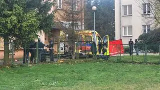 WhatsApp Image 2025-11-20 at 13