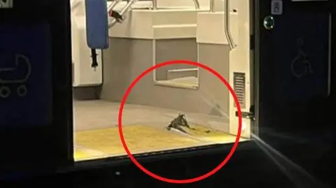 Szyna przebiła podłogę tramwaju