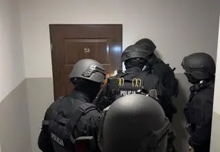 Były zmuszane do prostytucji, kontrolowane i "dyscyplinowane"