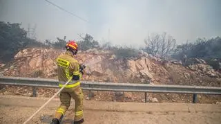 Polscy strażacy w Grecji