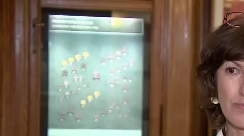 video reforma okejka