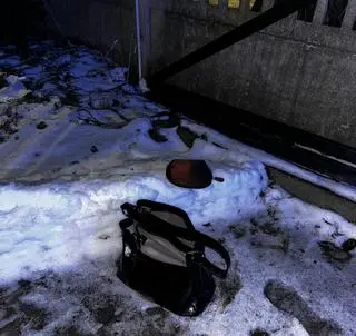 13-latek okradł seniorkę w Brzegu (woj. opolskie)