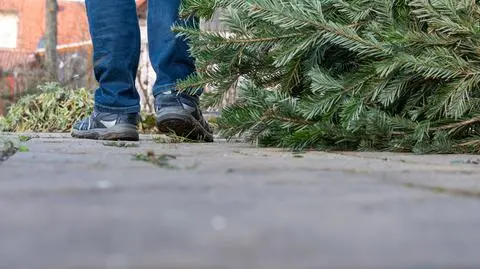 shutterstock_1624698172