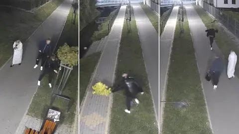 Skopał i podeptał młode drzewko. 18-latek ukarany, losy rośliny niepewne 