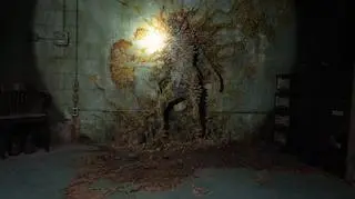 Grzyb z serialu "The Last of Us"
