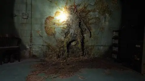 The Last of Us