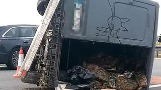 Cudzoziemcy podróżowali w części towarowej pojazdu