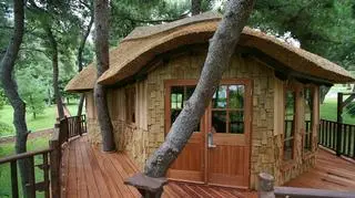 Treehouse - luksusowe domki na drzewie
