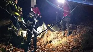 Turystki schroniły się na drzewie i wezwały pomoc